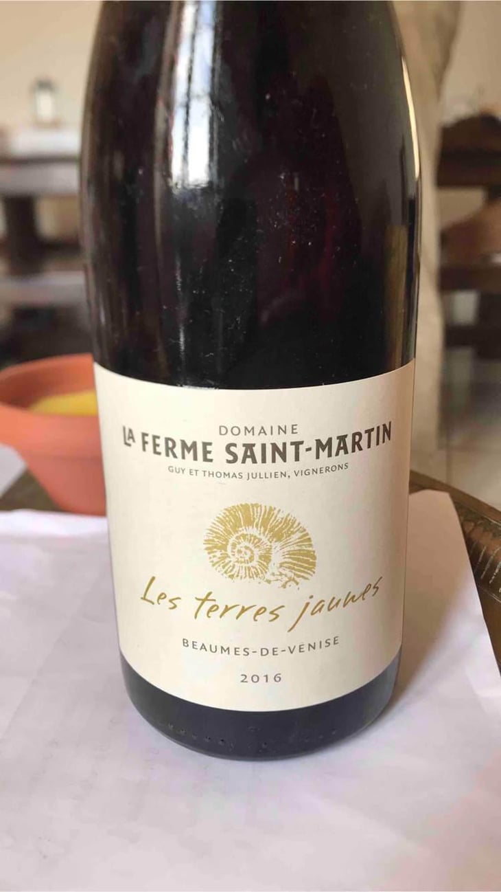 Les Terres Jaunes - La Ferme Saint-Martin - Les Vins de Thomas - Sophie & Thomas Jullien 