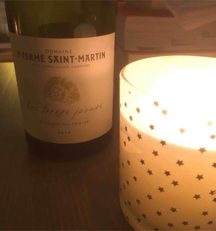Les Terres Jaunes - La Ferme Saint-Martin - Les Vins de Thomas - Sophie & Thomas Jullien 
