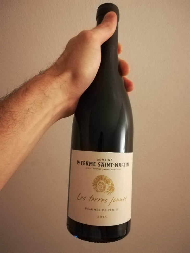 Les Terres Jaunes - La Ferme Saint-Martin - Les Vins de Thomas - Sophie & Thomas Jullien 