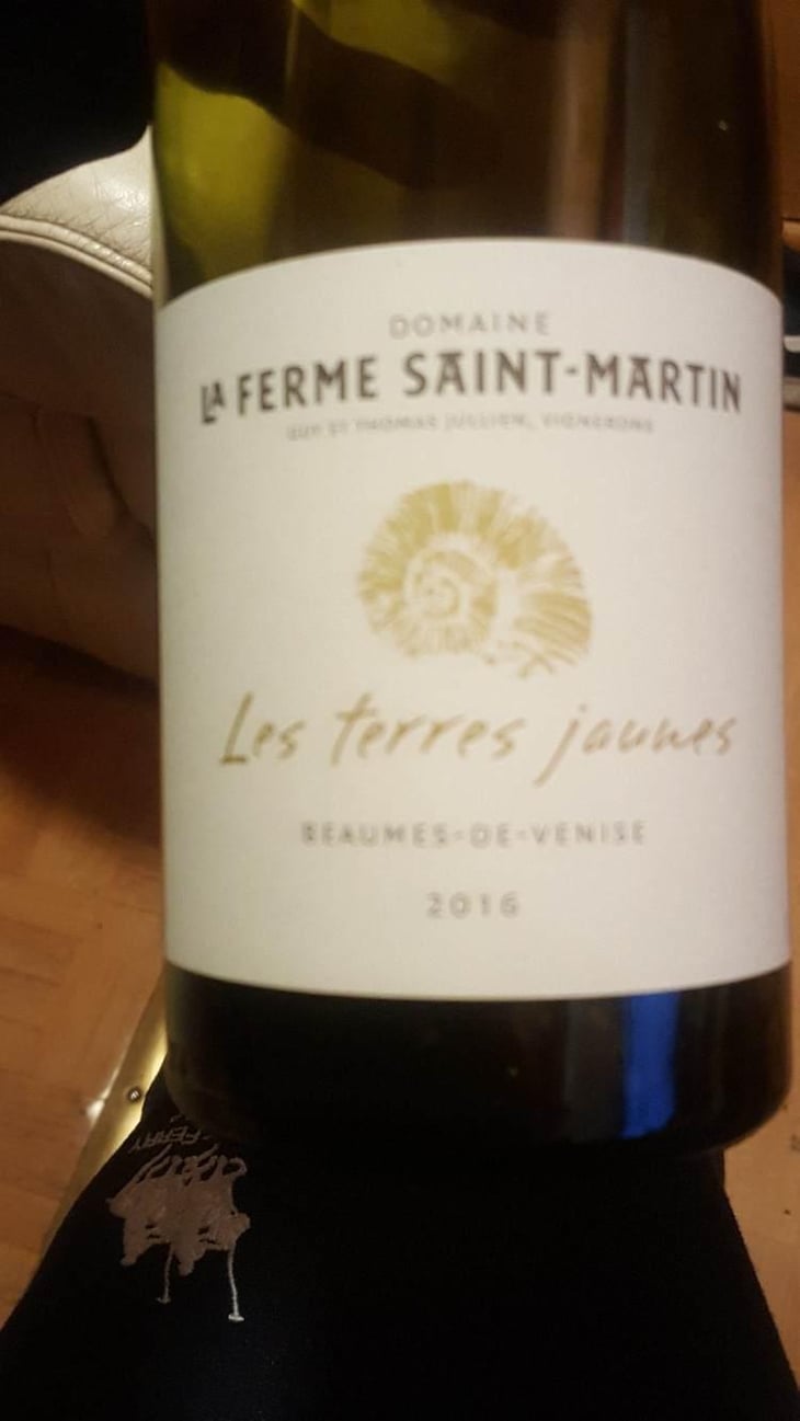 Les Terres Jaunes - La Ferme Saint-Martin - Les Vins de Thomas - Sophie & Thomas Jullien 