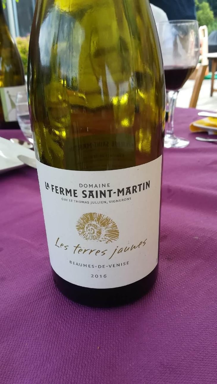 Les Terres Jaunes - La Ferme Saint-Martin - Les Vins de Thomas - Sophie & Thomas Jullien 