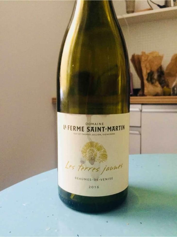 Les Terres Jaunes - La Ferme Saint-Martin - Les Vins de Thomas - Sophie & Thomas Jullien 