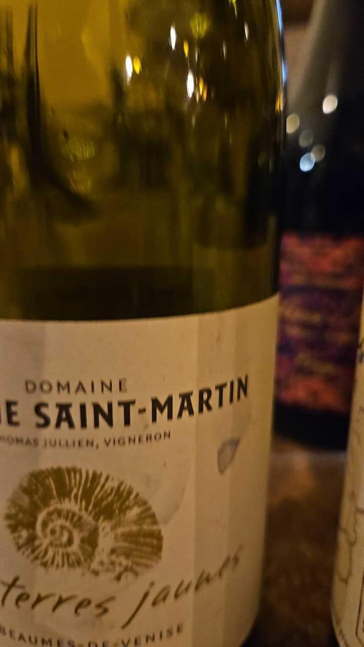 Les Terres Jaunes - La Ferme Saint-Martin - Les Vins de Thomas - Sophie & Thomas Jullien 