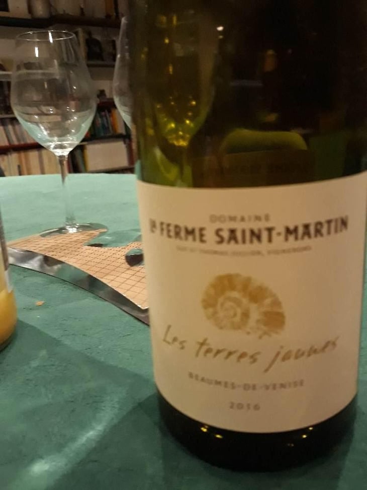 Les Terres Jaunes - La Ferme Saint-Martin - Les Vins de Thomas - Sophie & Thomas Jullien 