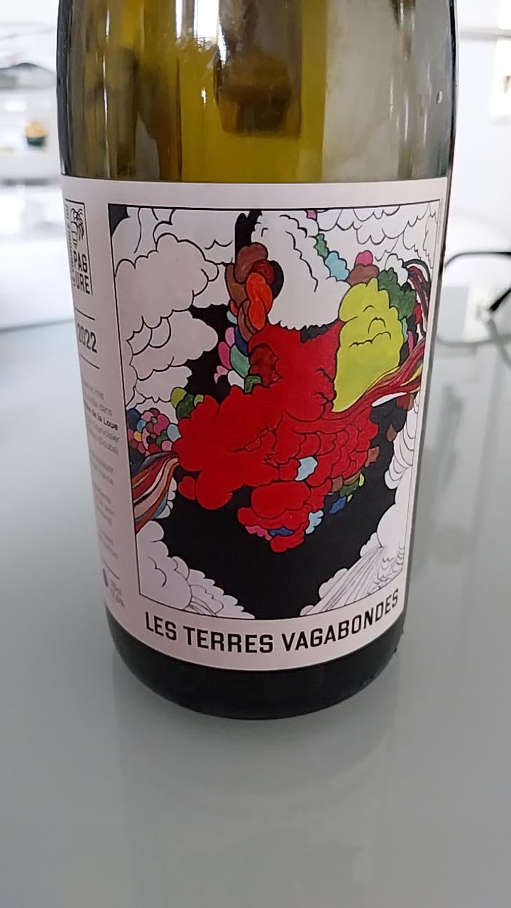 Les Terres Vagabondes - Le vignoble du Pagure - Hugo Courvoisier 