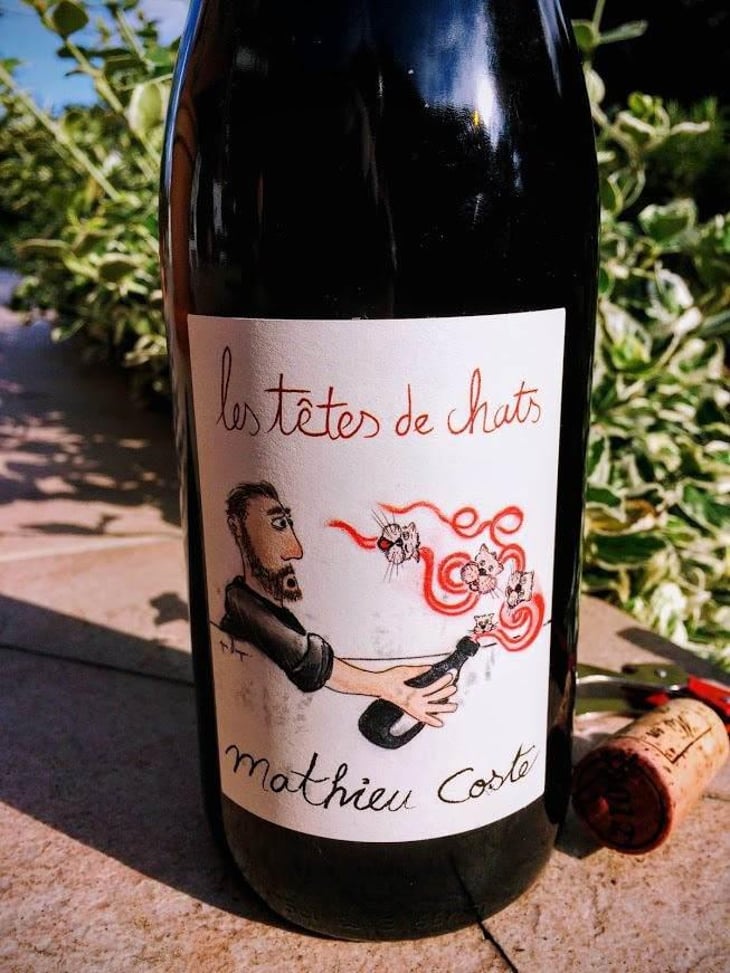 Les Têtes de Chat - Domaine Bio Coste - Mathieu Coste 