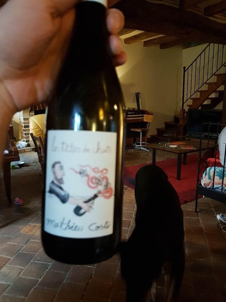 Les Têtes de Chat - Domaine Bio Coste - Mathieu Coste 