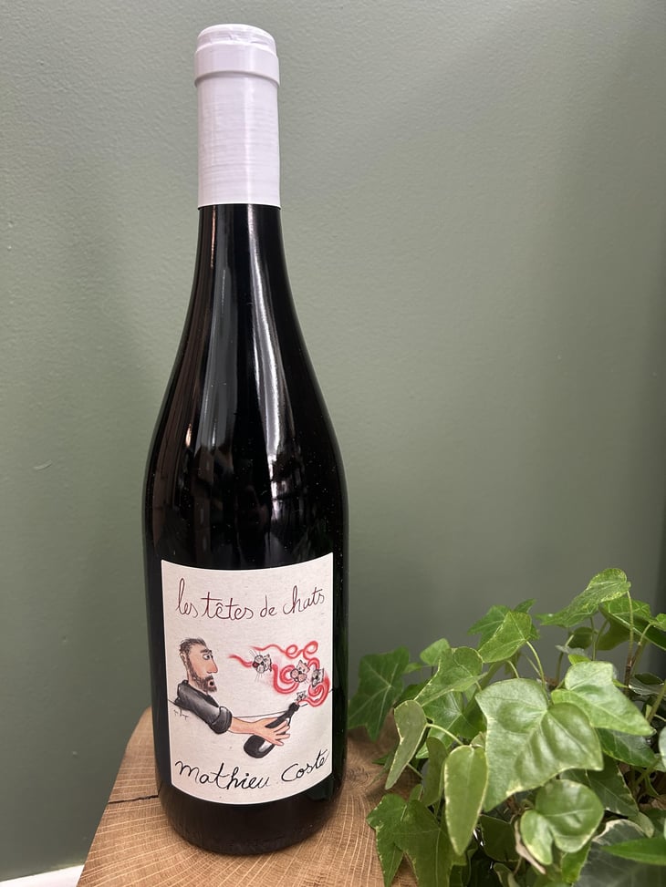 Les Têtes de Chat - Domaine Bio Coste - Mathieu Coste 