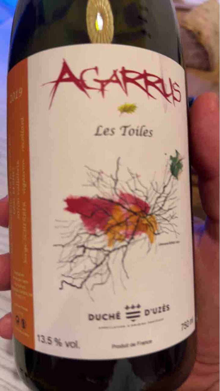 Les Toiles - Agarrus - Serge Scherrer 
