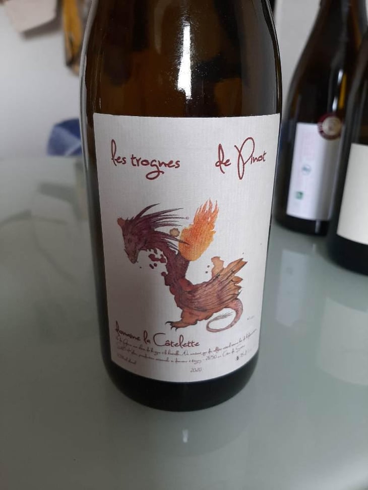 Les Trognes De Pinot - Domaine de la Côtelette - Sandra et Benoît Kilian 