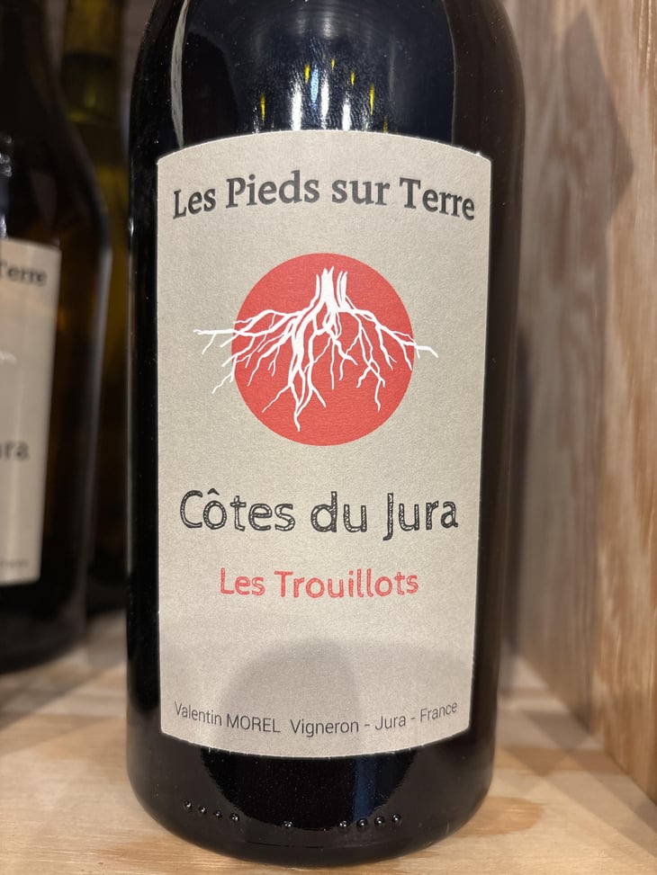 Les Trouillots Semaine 16 - Les Pieds Sur Terre - Valentin Morel 
