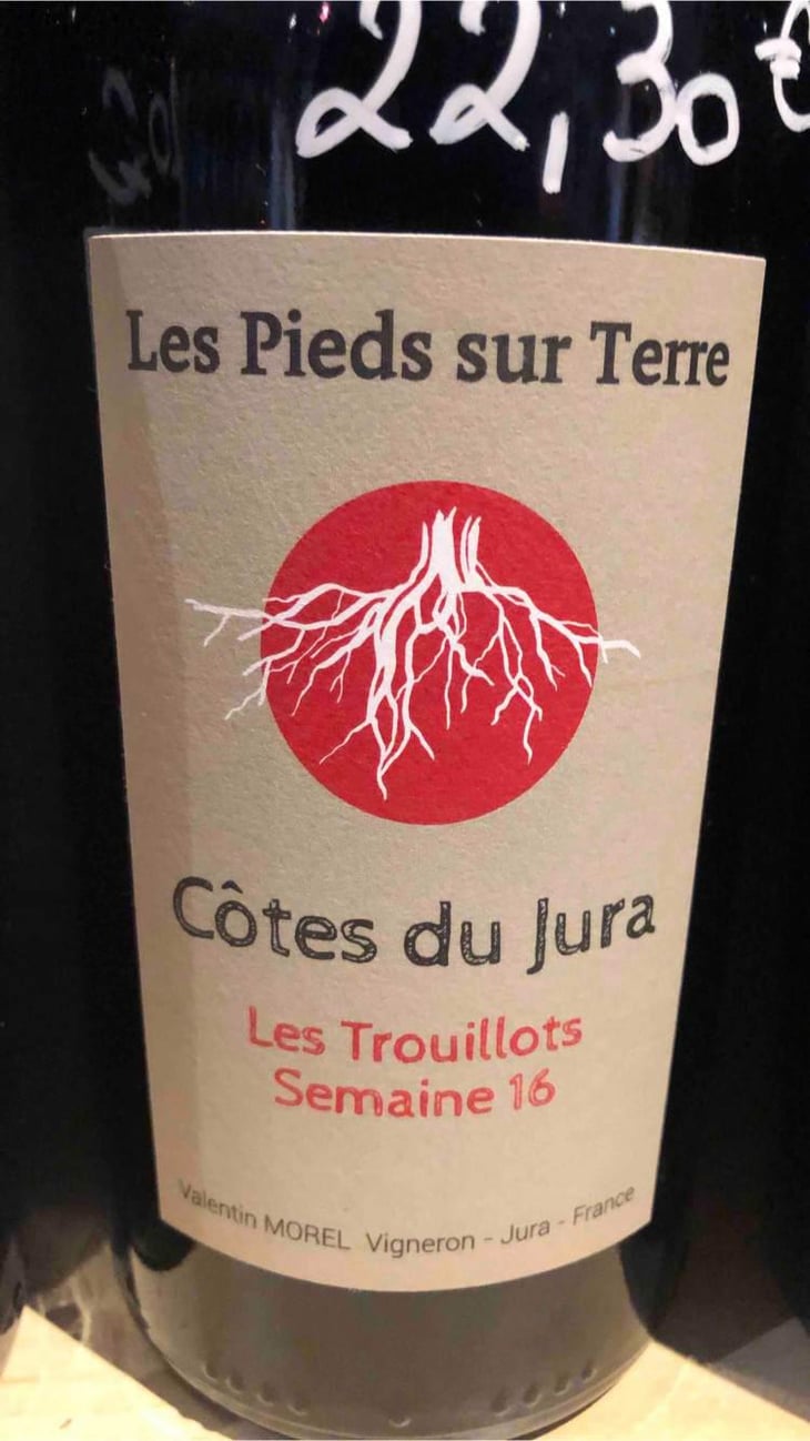Les Trouillots Semaine 16 - Les Pieds Sur Terre - Valentin Morel 
