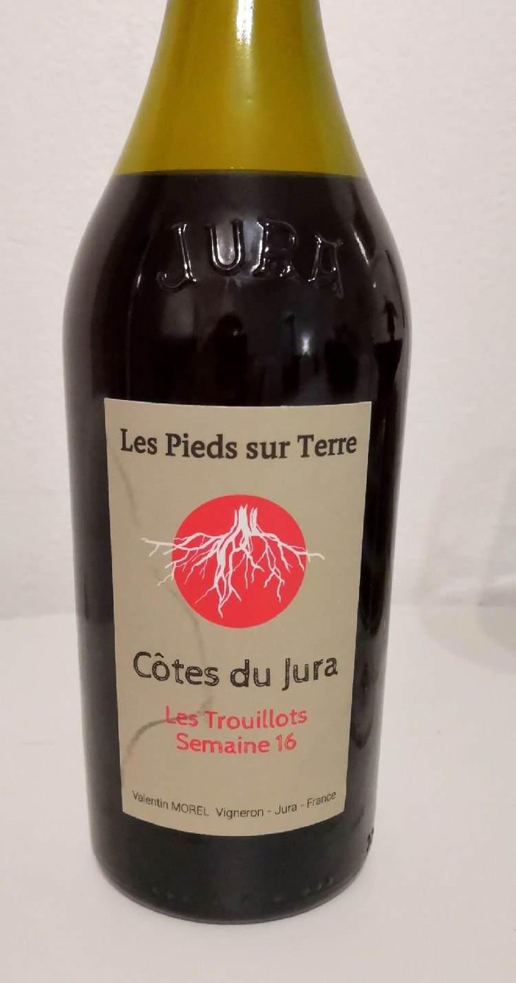 Les Trouillots Semaine 16 - Les Pieds Sur Terre - Valentin Morel 