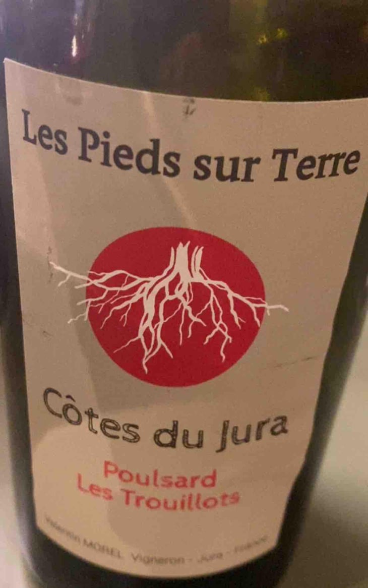 Les Trouillots - Les Pieds Sur Terre - Valentin Morel -2021