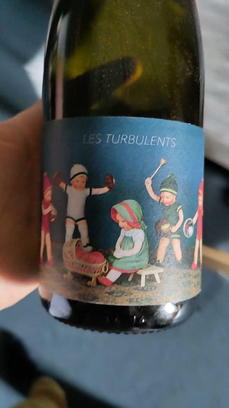 Les Turbulents - Thomas Puéchavy - Thomas Puéchavy 
