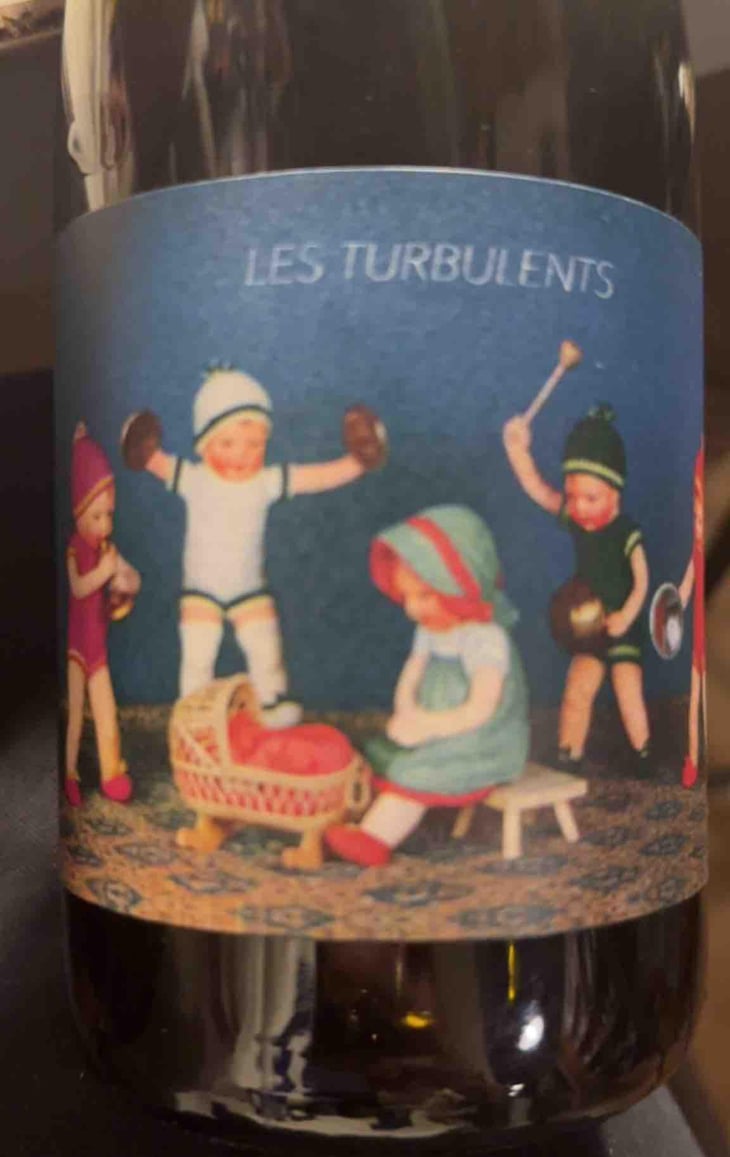 Les Turbulents - Thomas Puéchavy - Thomas Puéchavy 