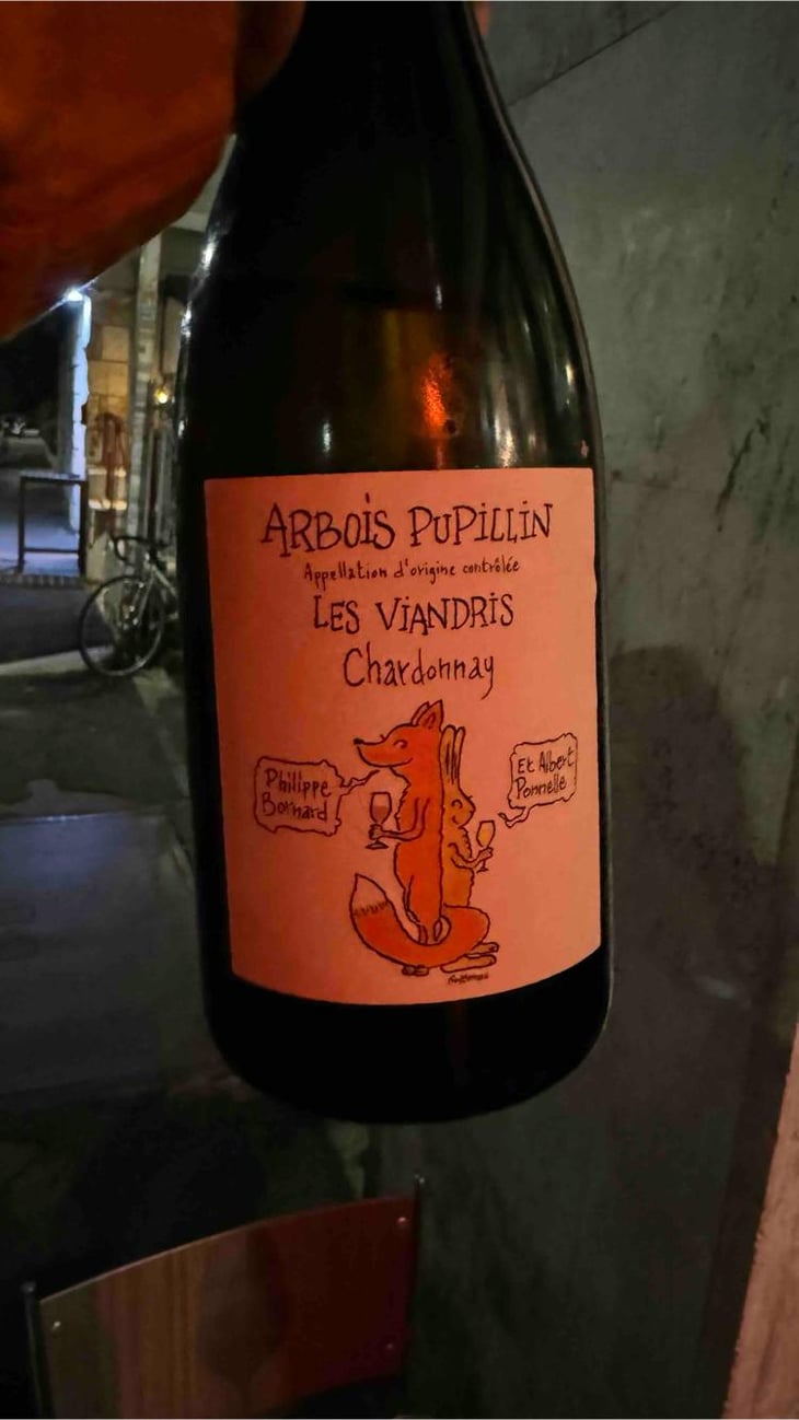 Les Viandris - Philippe Bornard & Albert Ponnelle - Philippe Bornard & Albert Ponnelle -2020
