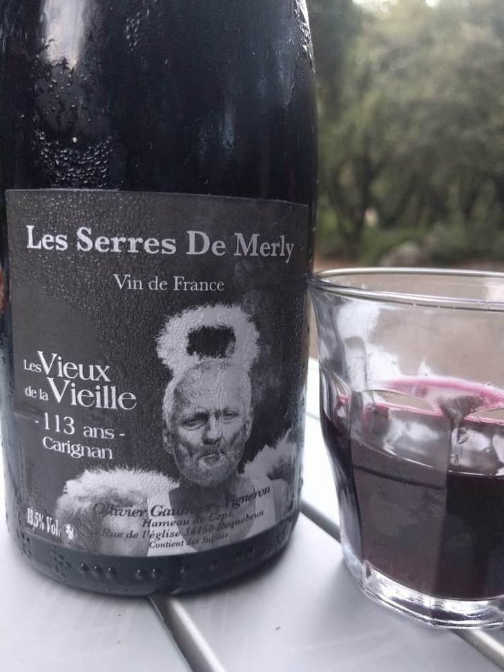 Les Vieux de la Vieille - Domaine Meïgoon - Saharnaz Ahangi et Gauthier Ollivier 