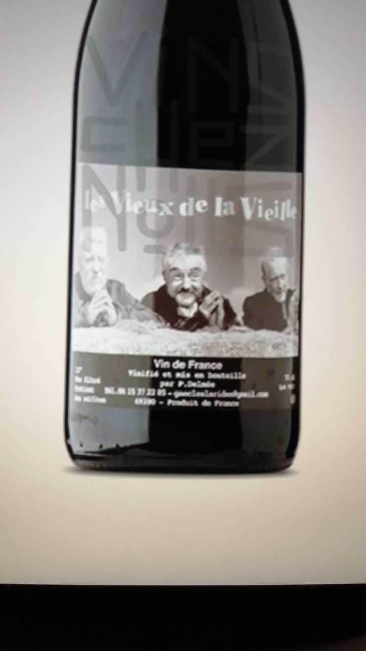 Les Vieux de la Vielle - Delmée Martin - Philippe Delmée & Aurélien Martin 