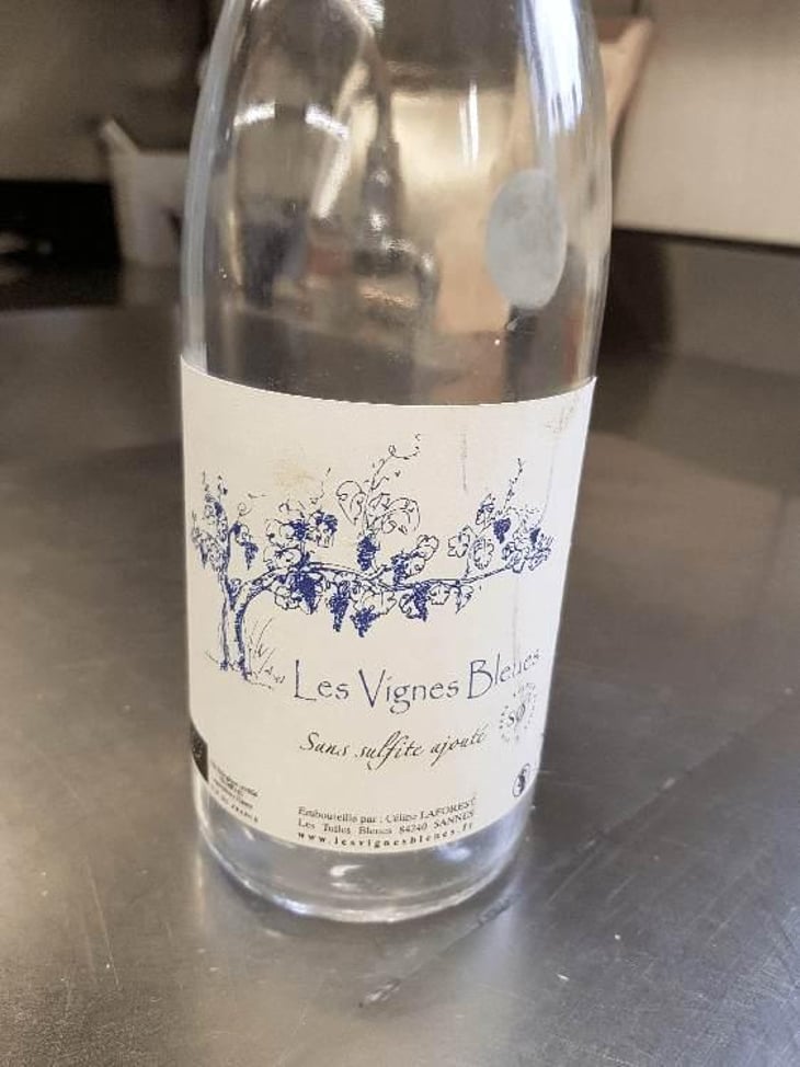 Les Vignes Bleues - Les Tuiles Bleues - Céline Laforest 