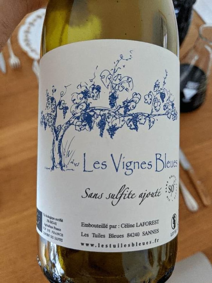 Les Vignes Bleues - Les Tuiles Bleues - Céline Laforest 