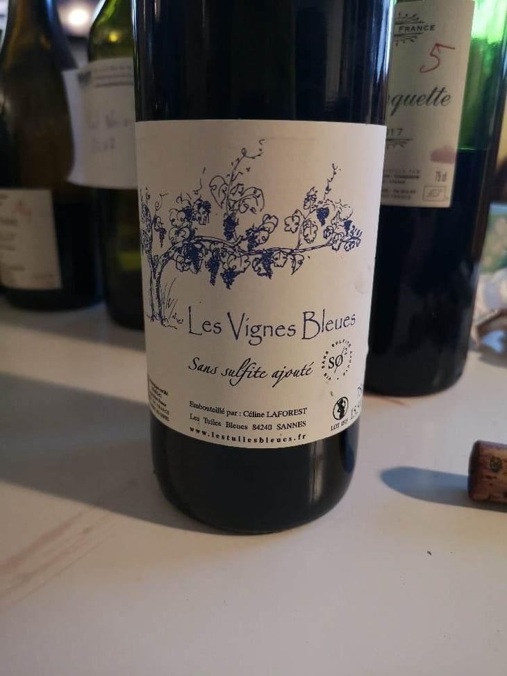 Les Vignes Bleues - Les Tuiles Bleues - Céline Laforest 