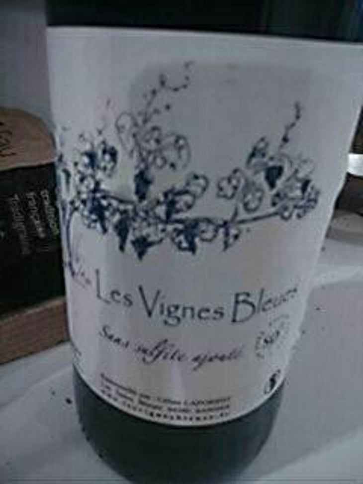Les Vignes Bleues - Les Tuiles Bleues - Céline Laforest 