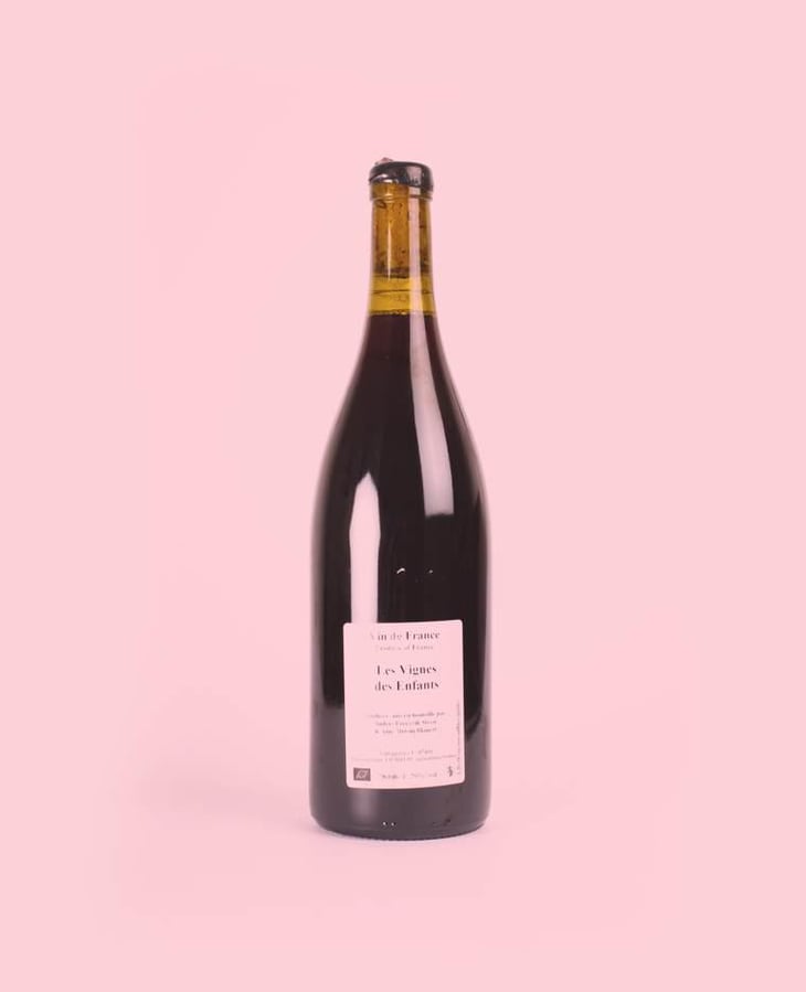 Les Vignes des Enfants - Anders Frederik Steen & Anne Bruun Blauert - Anders Frederik Steen & Anne Bruun Blauert 