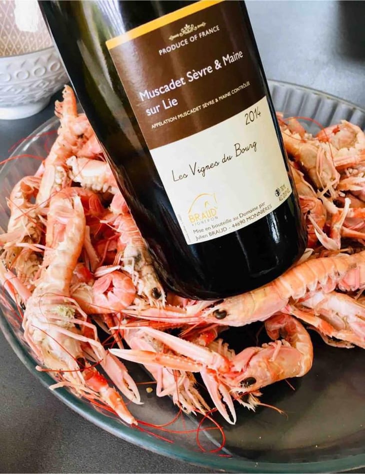 Les Vignes du Bourg - Domaine Julien Braud - Julien Braud 