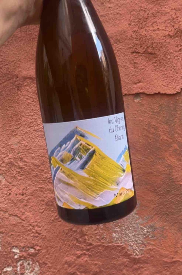 Les Vignes du Cheney Blanc - Marc Payan - Marc Payan -2021