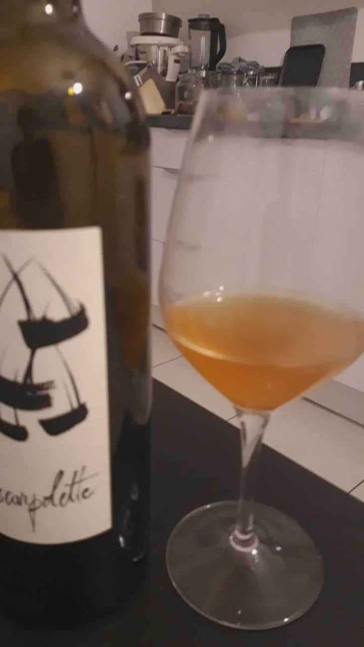 L'Escarpolette Blanc - Domaine de l'Escarpolette - Ivo Ferreira 