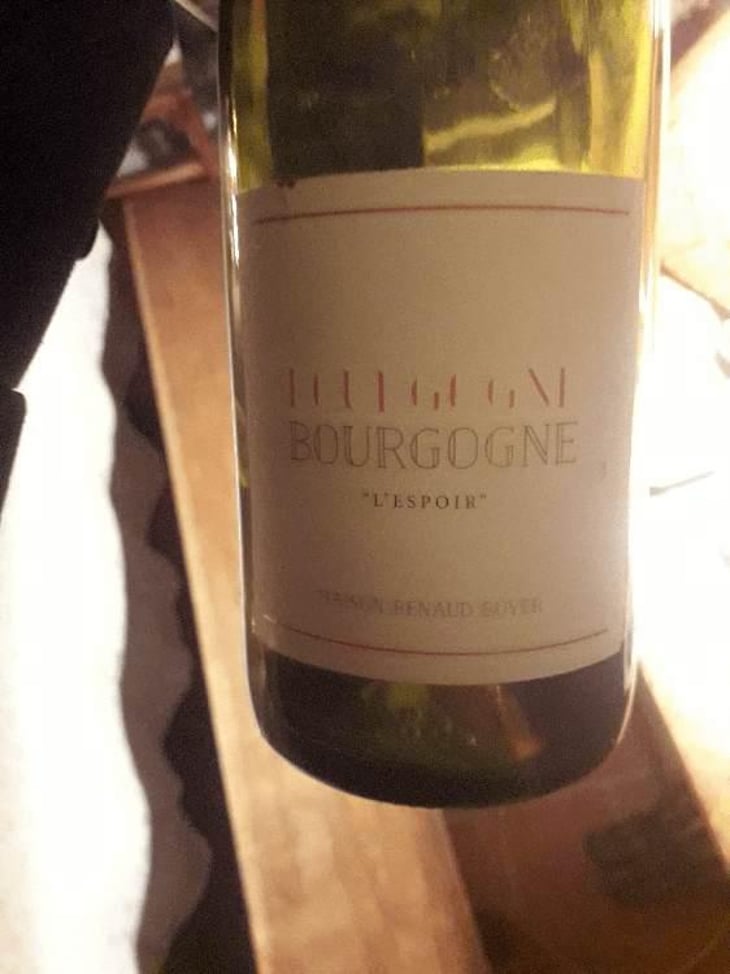 L'Espoir - Domaine Renaud Boyer - Renaud Boyer 