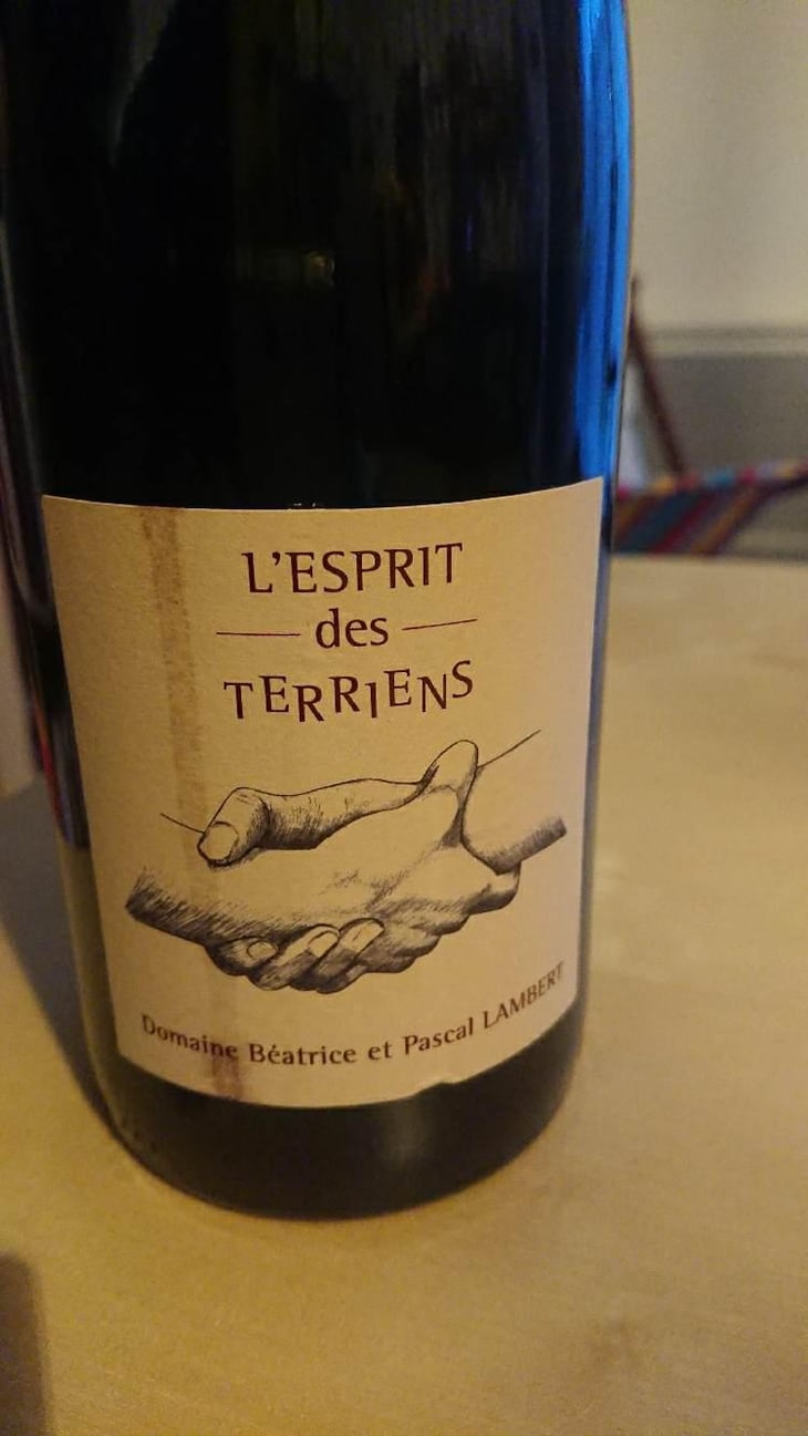 L'esprit des Terriens - Domaine Lambert - Béatrice & Pascal Lambert -2015
