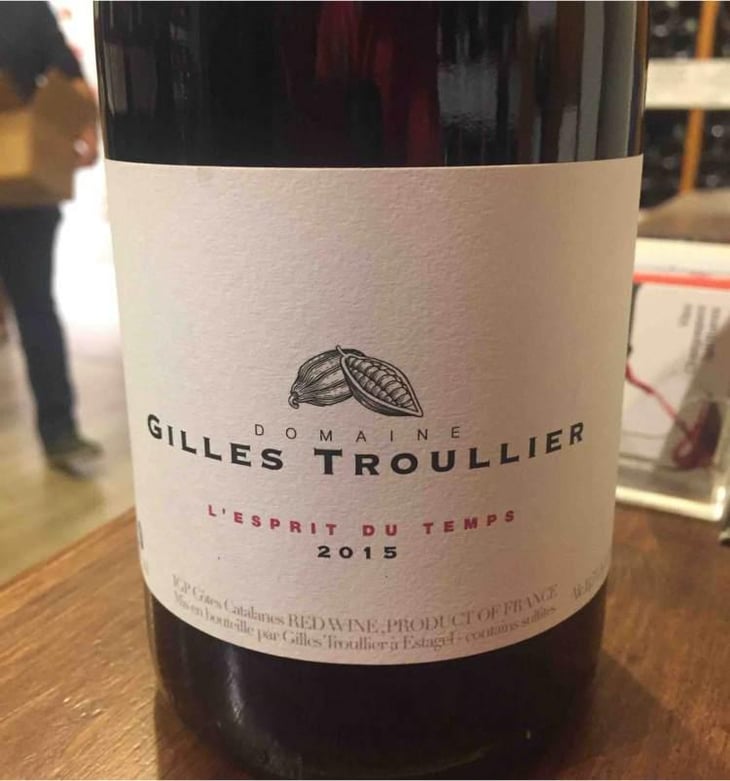 L’esprit Du Temps - Gilles Troullier - Gilles Troullier 