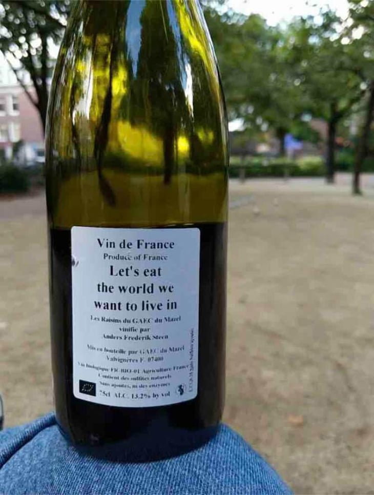 Let´s eat the world we want to live in - Anders Frederik Steen & Anne Bruun Blauert - Anders Frederik Steen & Anne Bruun Blauert 
