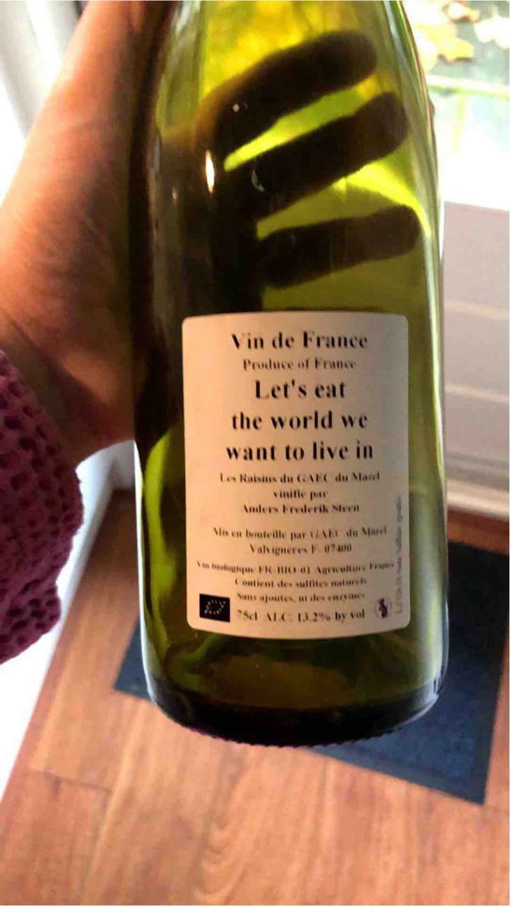 Let´s eat the world we want to live in - Anders Frederik Steen & Anne Bruun Blauert - Anders Frederik Steen & Anne Bruun Blauert 