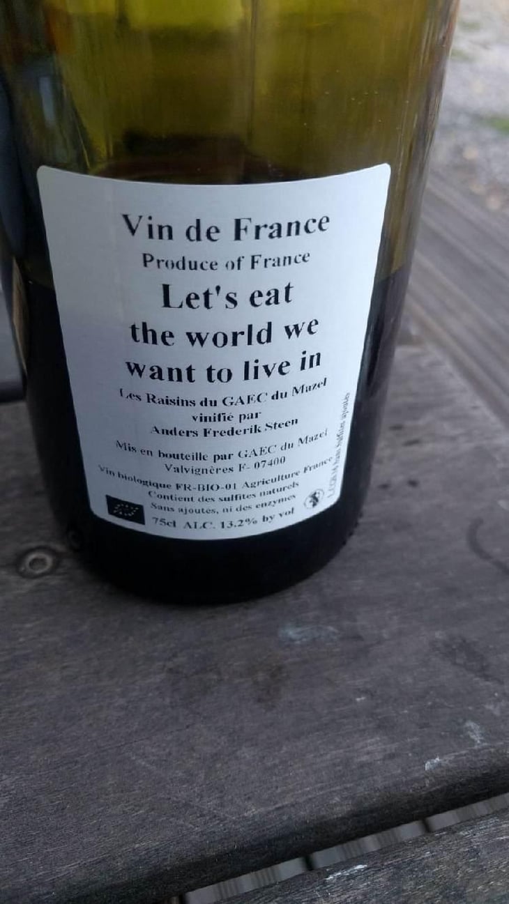 Let´s eat the world we want to live in - Anders Frederik Steen & Anne Bruun Blauert - Anders Frederik Steen & Anne Bruun Blauert 