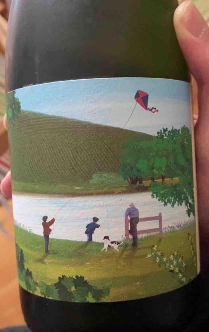 L'étang de nos souvenirs - Champagne Romain Henin - Romain Henin 