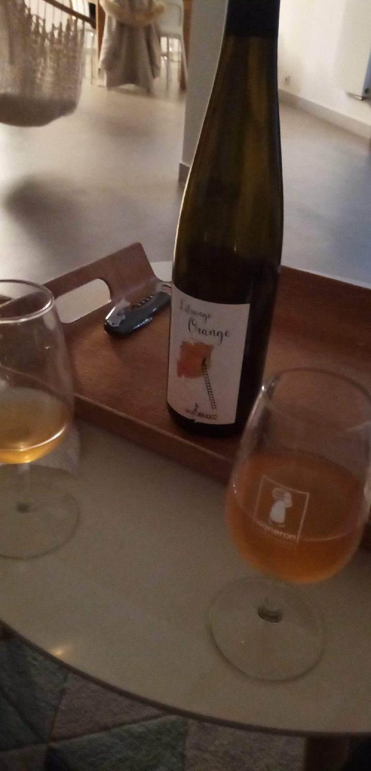 L’Etrange Orange - Louis Maurer - Louis Maurer 