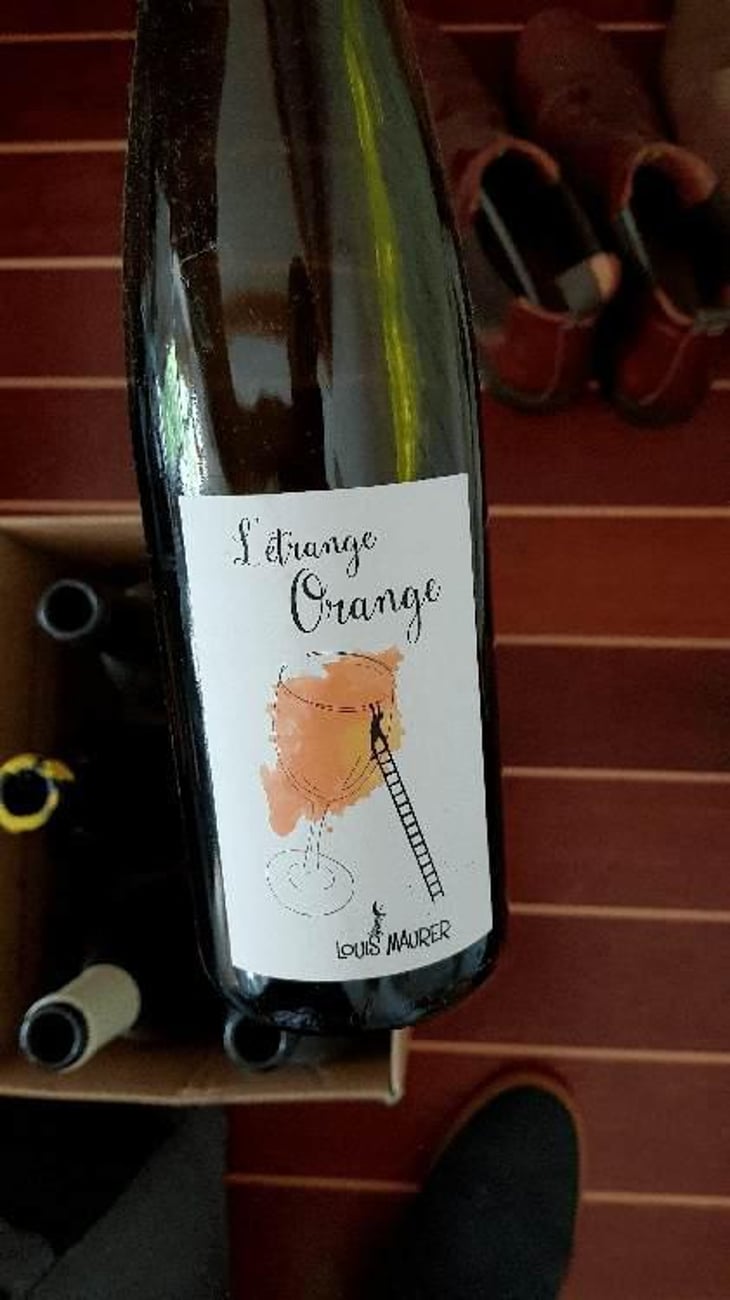 L’Etrange Orange - Louis Maurer - Louis Maurer 