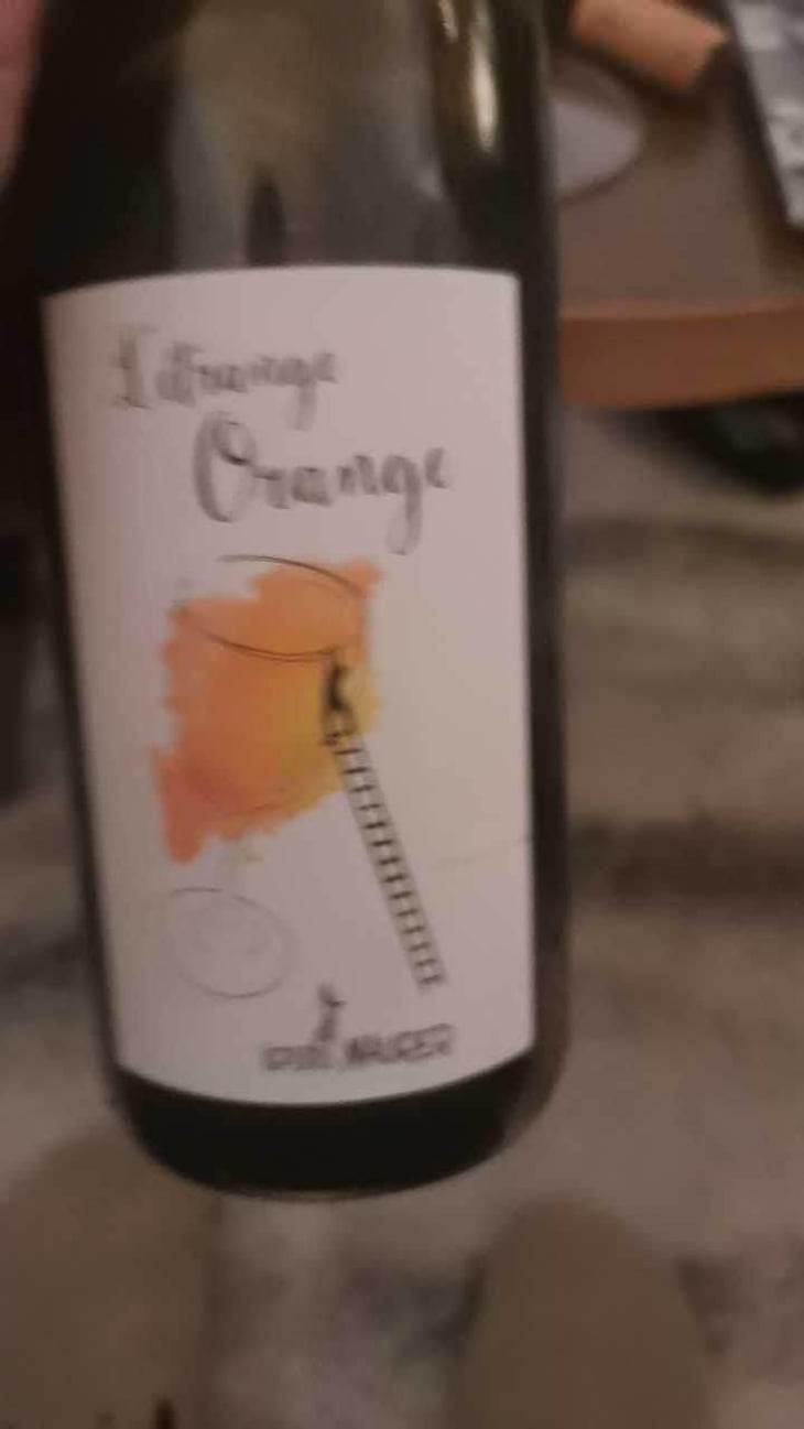 L’Etrange Orange - Louis Maurer - Louis Maurer 