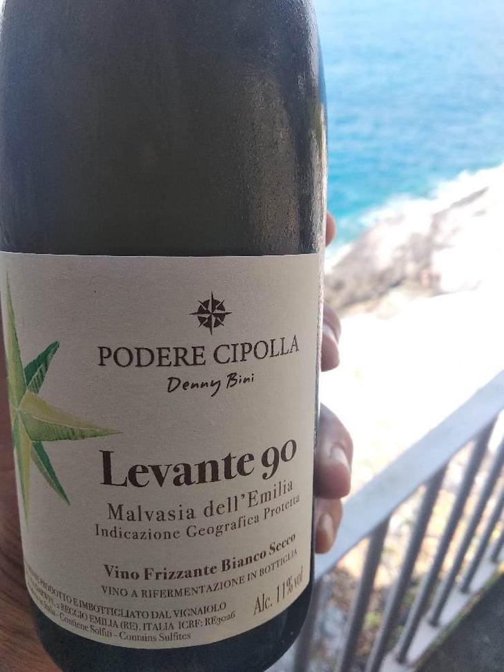 Levante 90 - Podere Cipolla - Denny Bini 