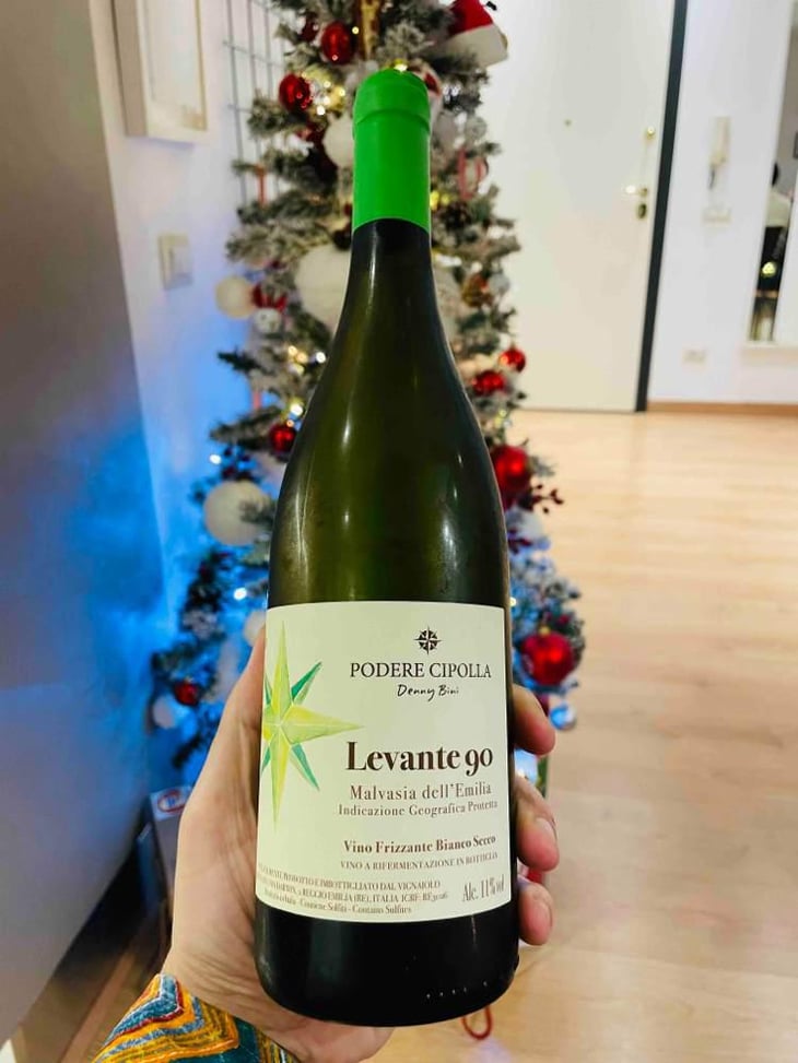 Levante 90 - Podere Cipolla - Denny Bini 