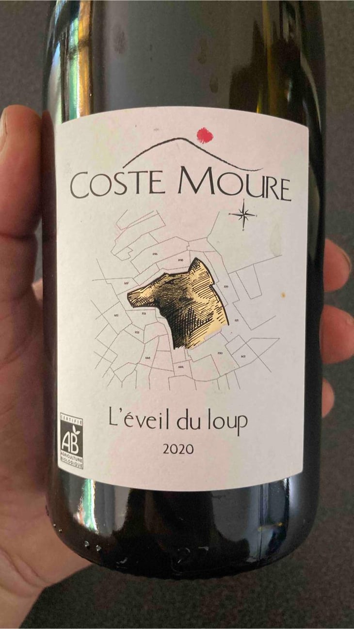 L’eveil Du Loup - Coste Moure - Mickael Fabre, Eudes Gérardin, RomainTissier -2020