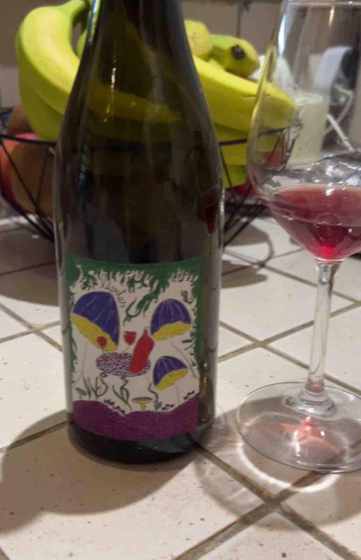 Levitas - Domaine de Botheland - Rémi Dufaitre & Laurence Liatard 