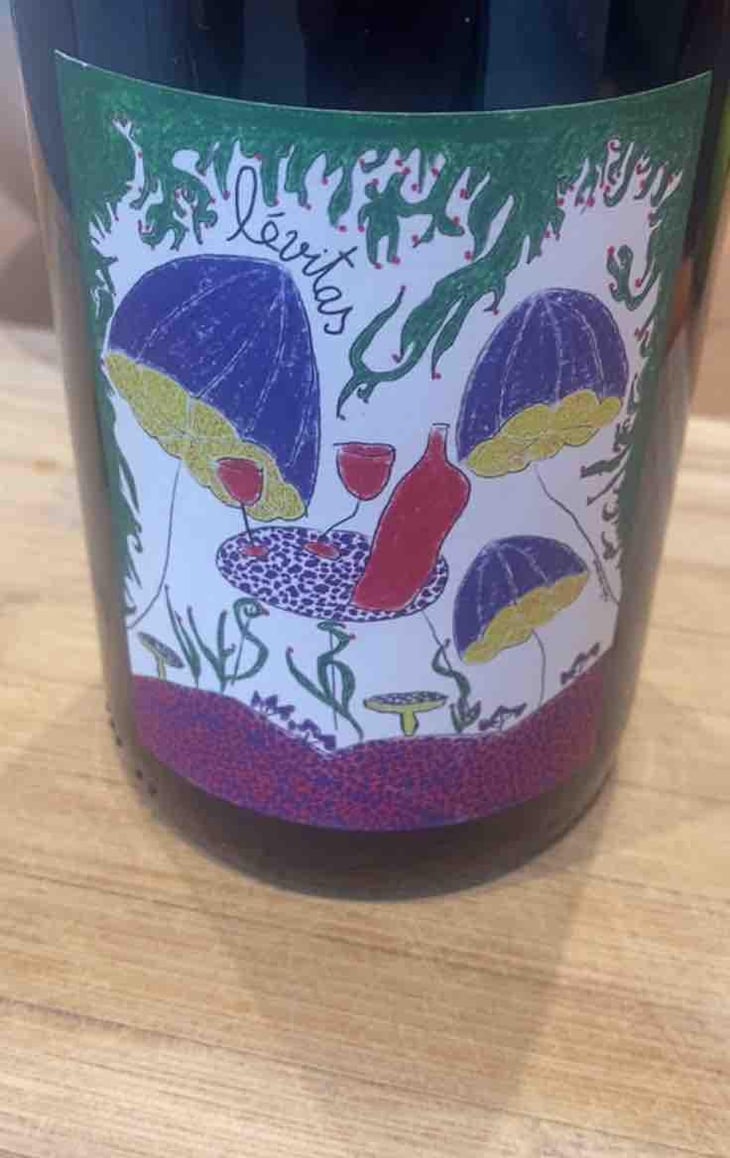 Levitas - Domaine de Botheland - Rémi Dufaitre & Laurence Liatard 