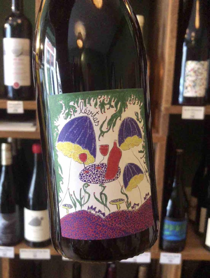 Levitas - Domaine de Botheland - Rémi Dufaitre & Laurence Liatard 