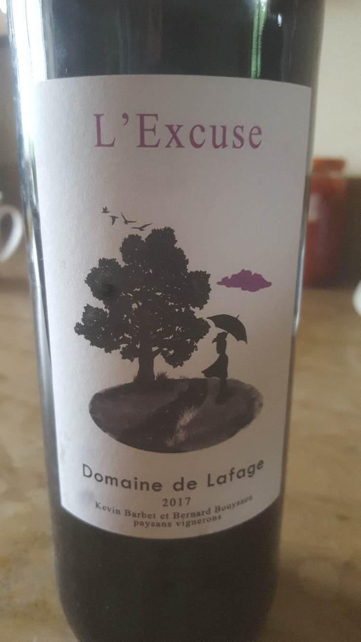 L’excuse - Kévin Barbet paysan vigneron - Kévin Barbet 