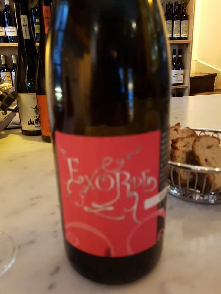 L'Exorde - Clos Mathélisse - David Caer 