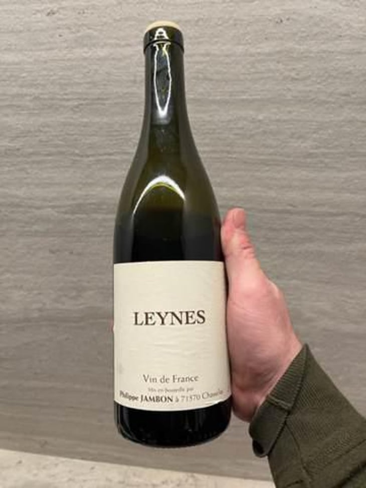 Leynes - Philippe Jambon - Catherine & Philippe Jambon 
